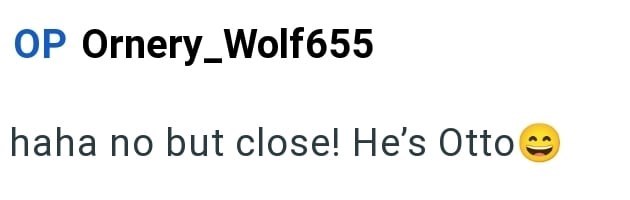 OP Ornery_Wolf655 haha no but close! He's Otto