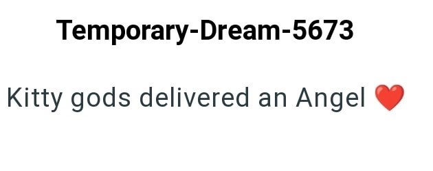 Temporary-Dream-5673 Kitty gods delivered an Angel