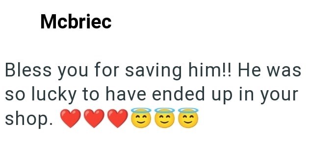 Mcbriec Bless you for saving him!! He was so lucky to have ended up in your shop.