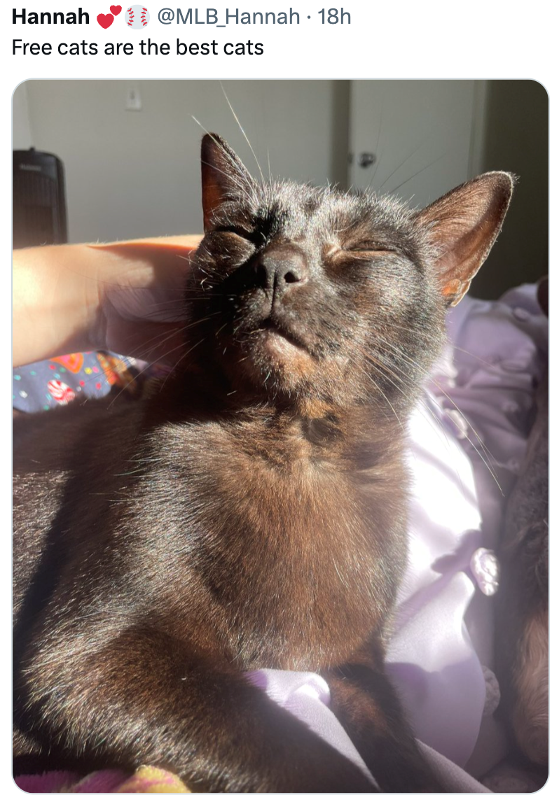 Hannah @MLB_Hannah • 18h Free cats are the best cats