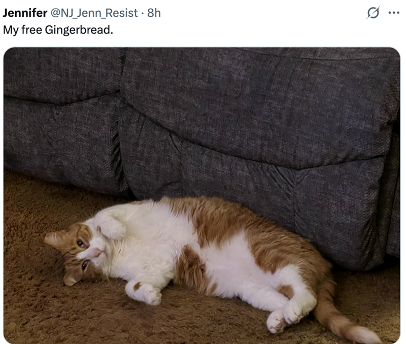 Jennifer @NJ_Jenn_Resist. 8h My free Gingerbread. Q ...