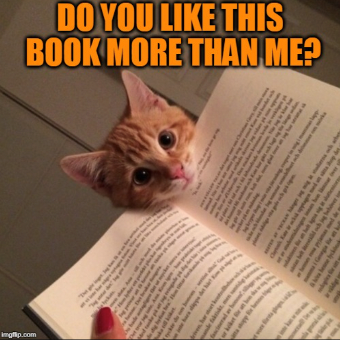 imgflip.com "Det gir inget. Jeg k DO YOU BOOK MORE THAN ME? LIKE THIS How Chris Gery s ra hene Det bruker ges wwww Med Det tror kar har gt och lagt sig lyckats Ave inte bara tyckte du om hones pa det här! Kom på riven, har stort koot nde faktiskt, men fascinerad av hono ur köket för att hon skas och des nicka TEN AV VECKAN hinger jag mig Cleo Kate i också opptagen med att sätta ihop det mig it stadierna och arbe dwinge bon lämnar over ha henne lyckdes Georgia for att k pyjamas med de belt äterst