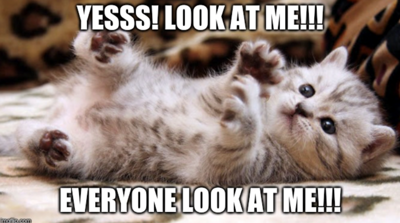 YESSS! LOOK AT ME!!! EVERYONE LOOK AT ME!!! imaflip.com