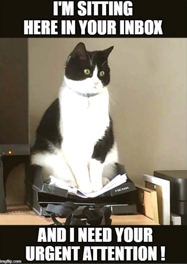 I'M SITTING HERE IN YOUR INBOX HENK imgflip.com AND I NEED YOUR URGENT ATTENTION!