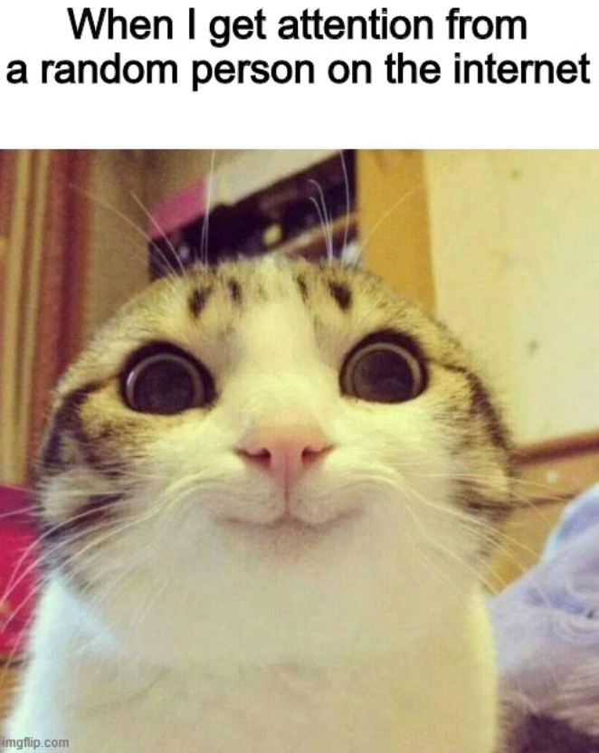 When I get attention from a random person on the internet imgflip.com
