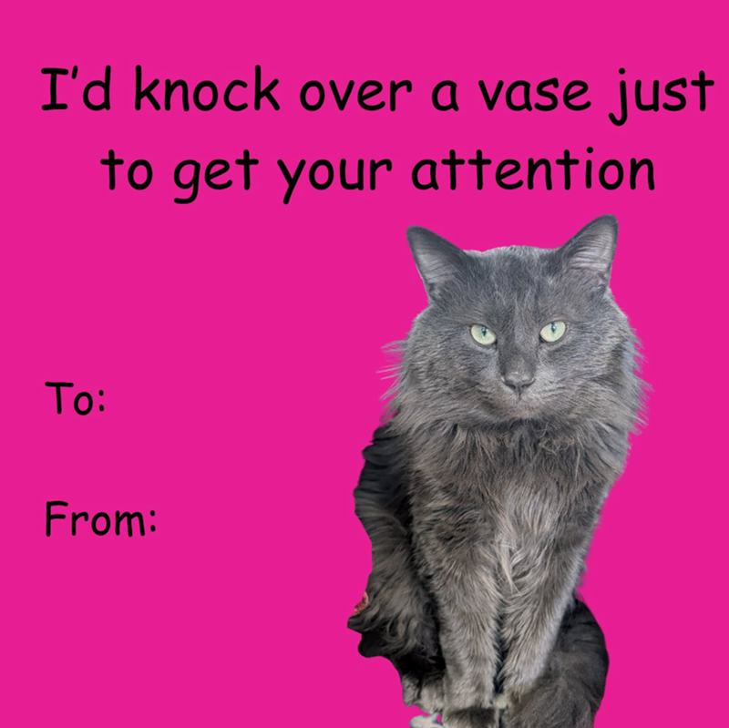 I'd knock over a vase just to get your attention To: From: