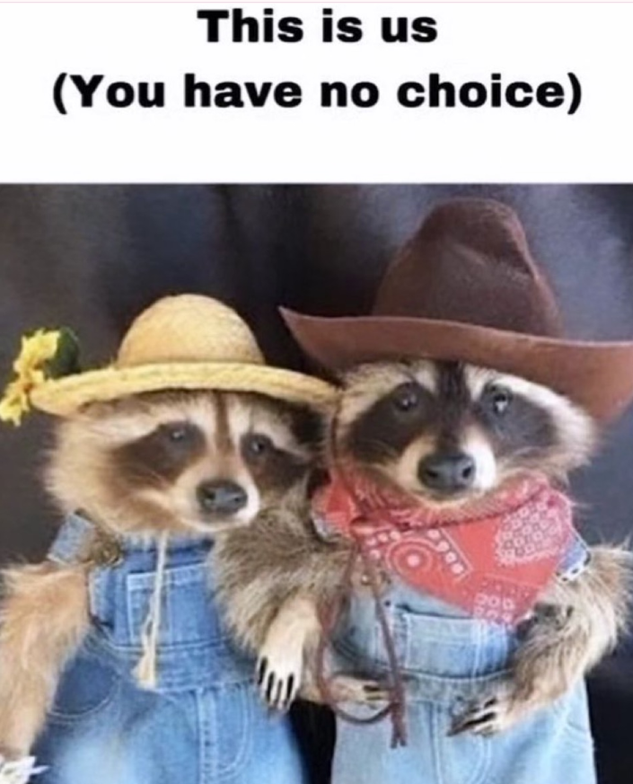 This is us (You have no choice)