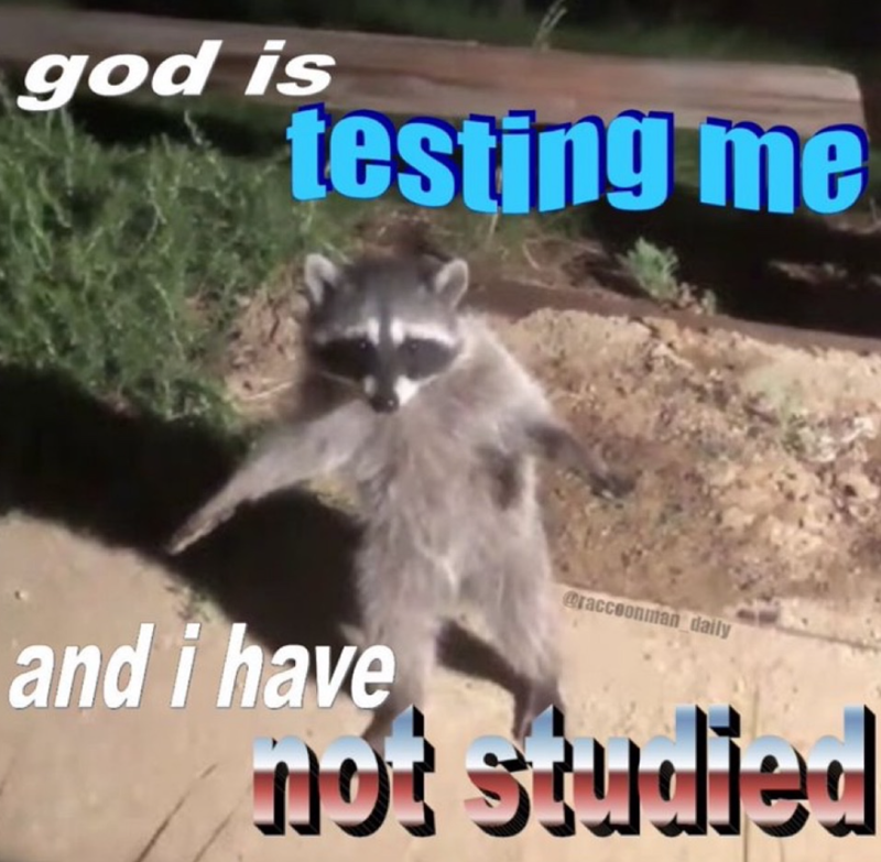 god is testing me and i have @raccoonman daily not studied