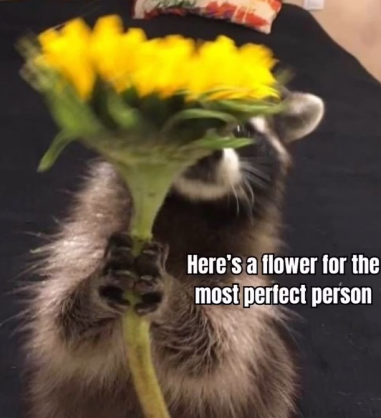 Here's a flower for the most perfect person