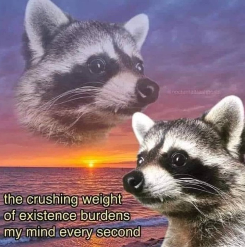 the crushing weight of existence burdens my mind every second nocturnallashposts