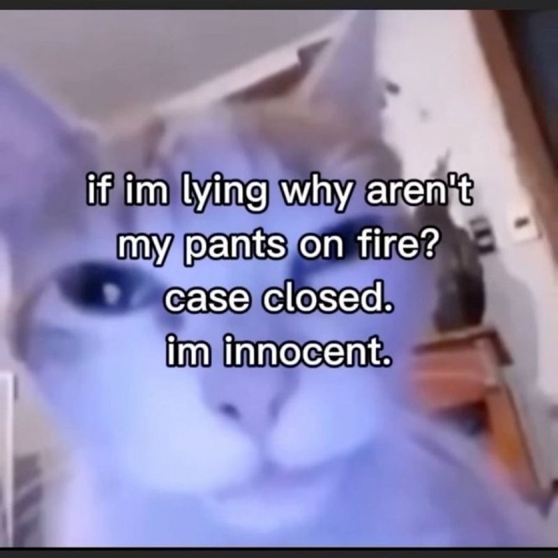 if im lying why aren't my pants on fire? case closed. im innocent.