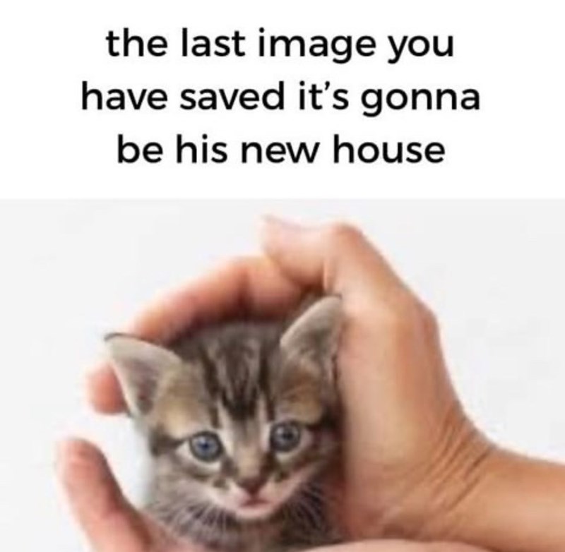 the last image you have saved it's gonna be his new house