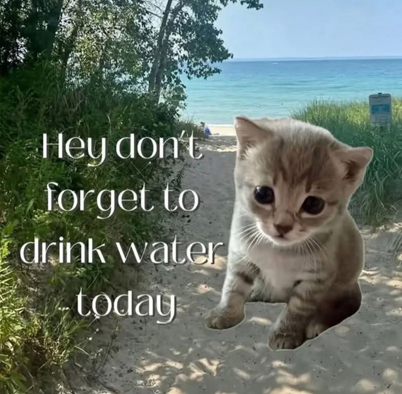 Hey don't forget to drink water today