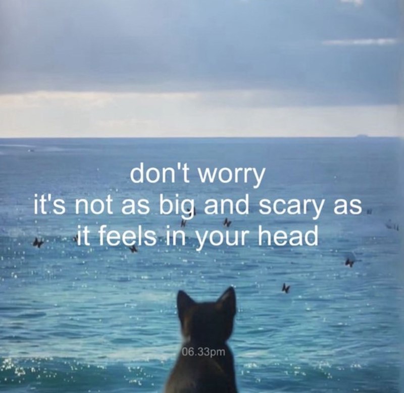 don't worry it's not as big and scary as it feels in your head 06.33pm