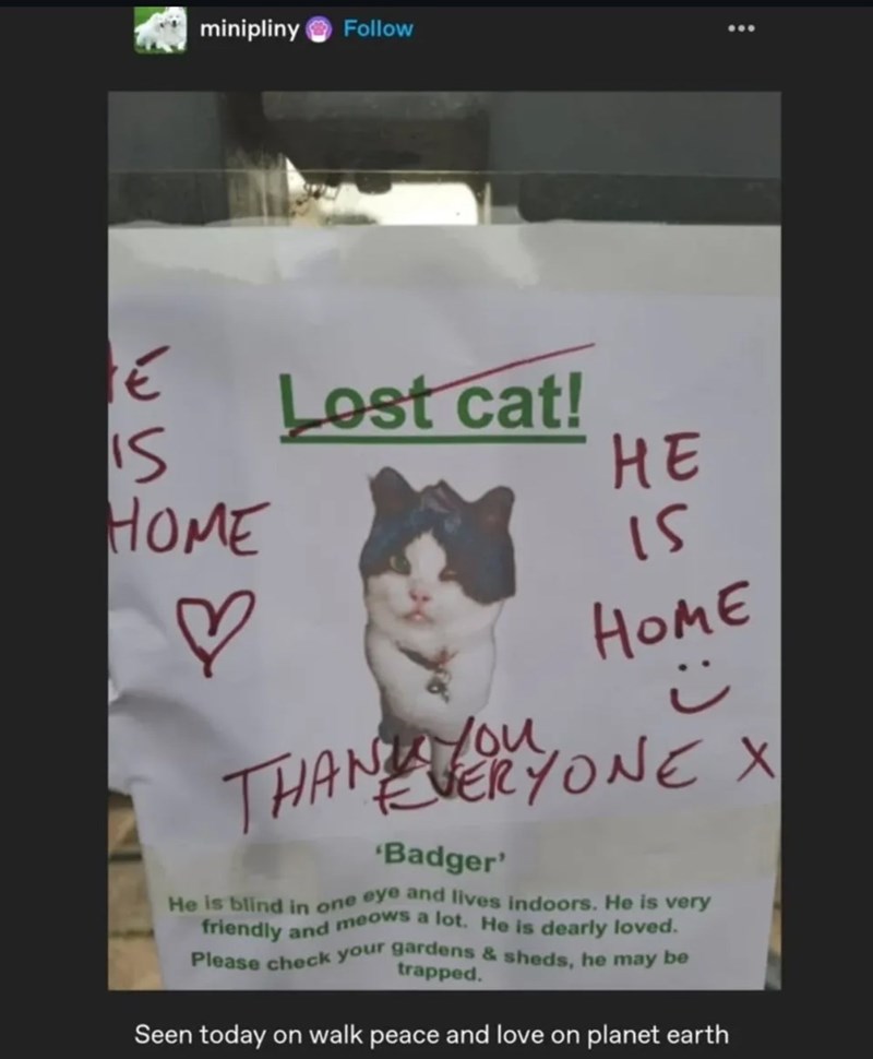 minipliny Follow E Lost cat! 15 HE HOME 15 ♡ HOME THAN ONE X 'Badger' He is blind in one eye and lives indoors. He is very friendly and meows a lot. He is dearly loved. Please check your gardens & sheds, he may be trapped. Seen today on walk peace and love on planet earth