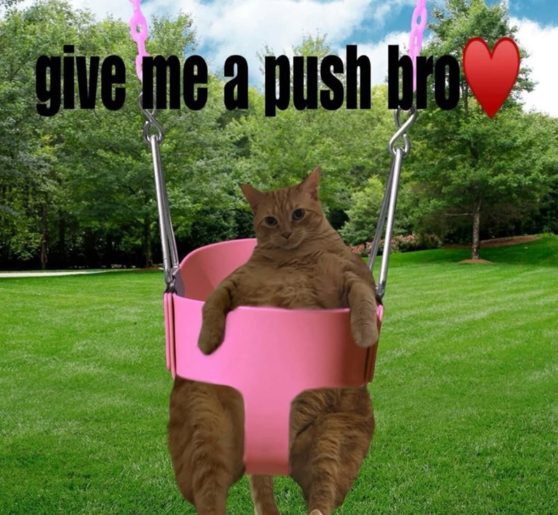 give me a push bro