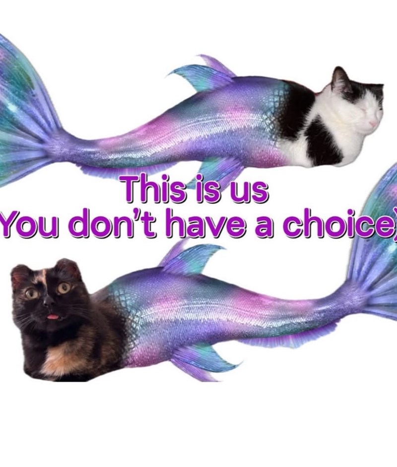 This is us You don't have a choice