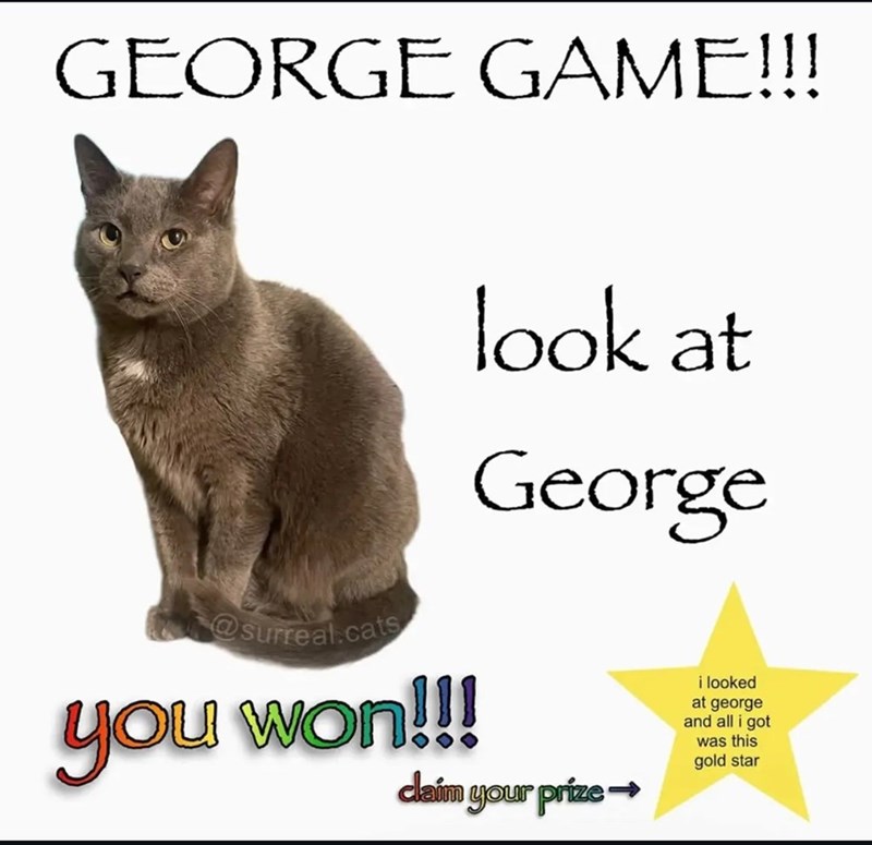 GEORGE GAME!!! @surreal.cats look at George you won!!! claim your prize- i looked at george and all i got was this gold star