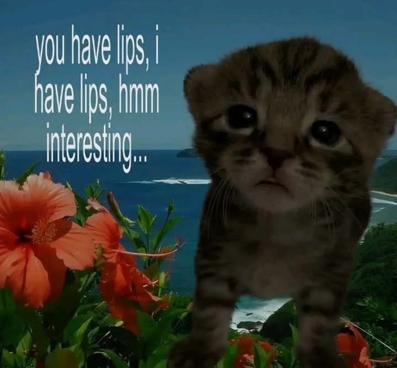 you have lips, i have lips, himm interesting.