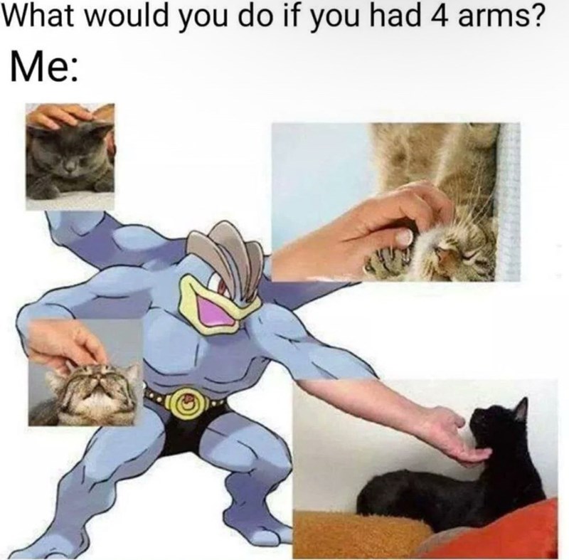 What would you do if you had 4 arms? Me: