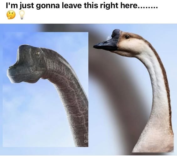 I'm just gonna leave this right here........