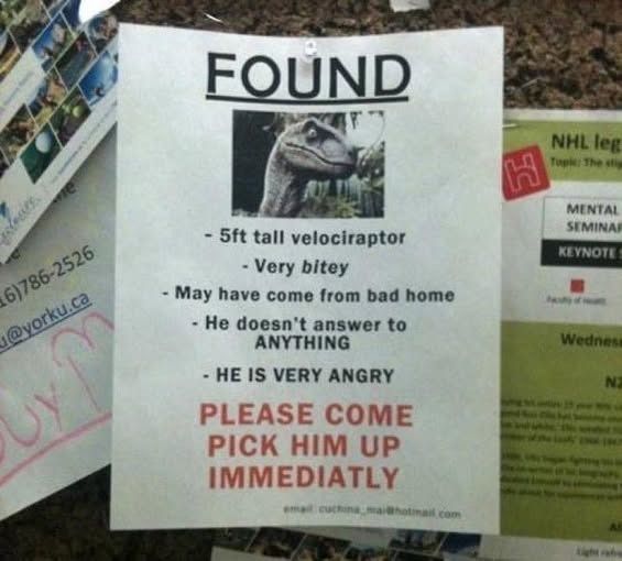 6)786-2526 @yorku.ca FOUND NHL leg Topic: The stig - 5ft tall velociraptor - Very bitey May have come from bad home He doesn't answer to ANYTHING HE IS VERY ANGRY PLEASE COME PICK HIM UP IMMEDIATLY email cuctor tmail.com MENTAL SEMINAR KEYNOTES Wedness N