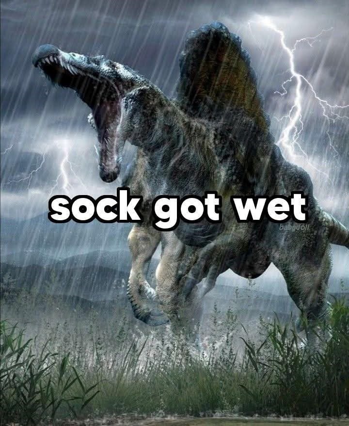 sock got wet babydoll