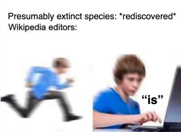 Presumably extinct species: *rediscovered* Wikipedia editors: "is"