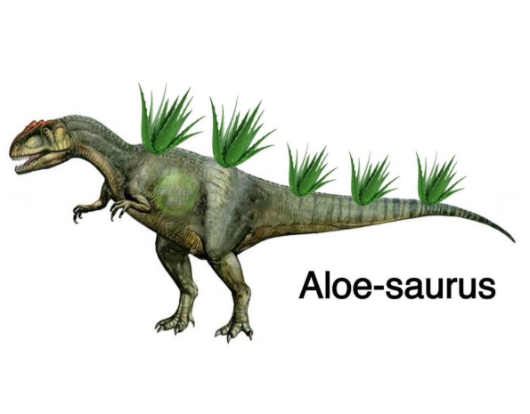 Aloe-saurus