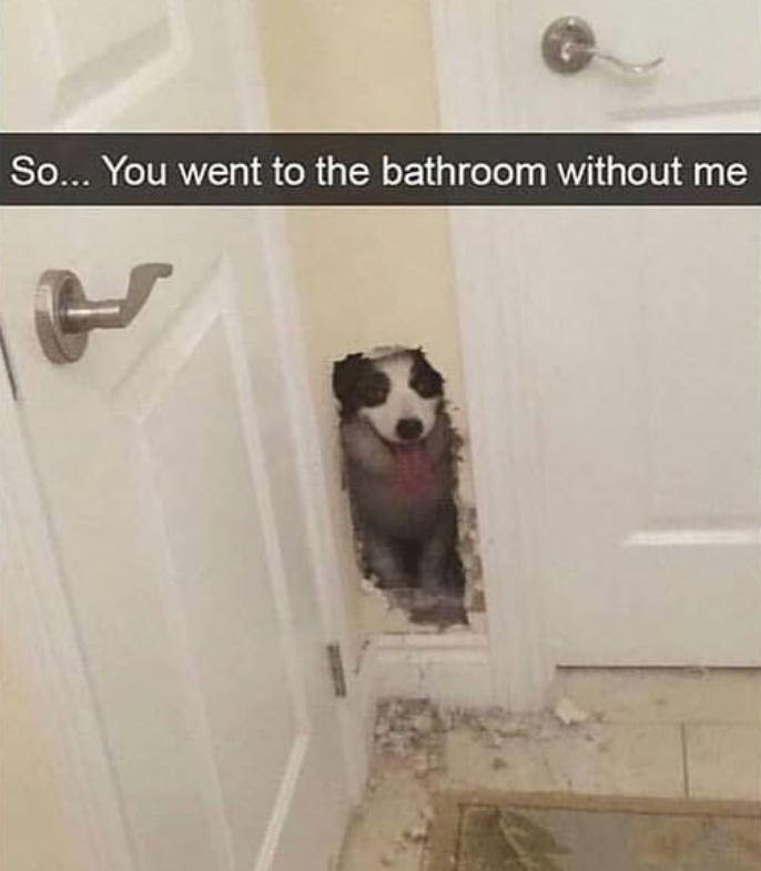 So... You went to the bathroom without me