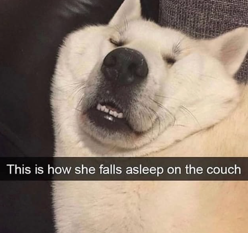 This is how she falls asleep on the couch