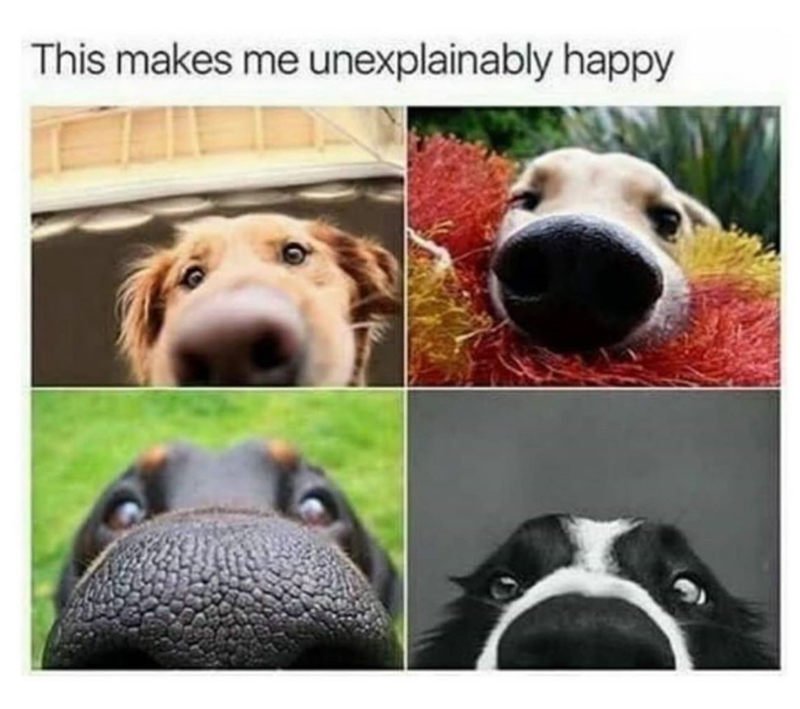 This makes me unexplainably happy