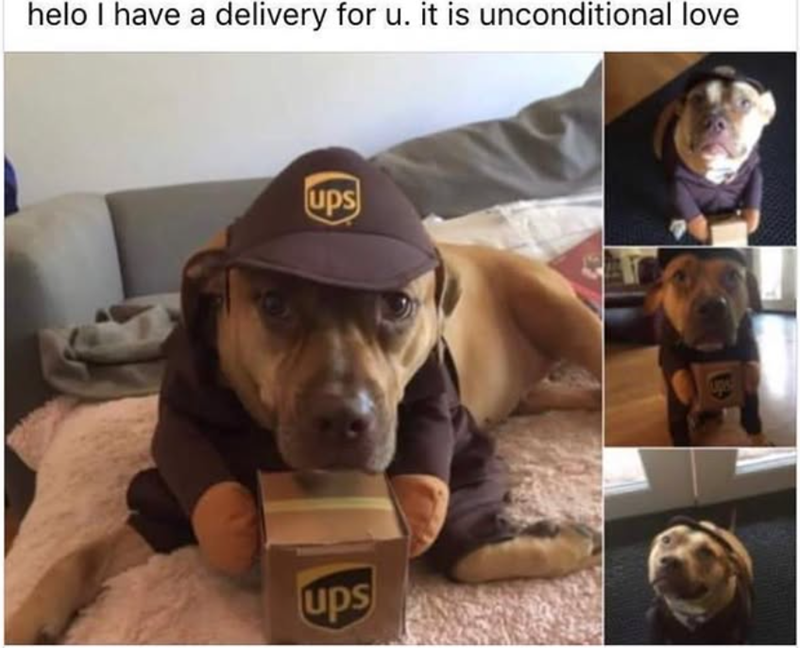 helo I have a delivery for u. it is unconditional love ups ups