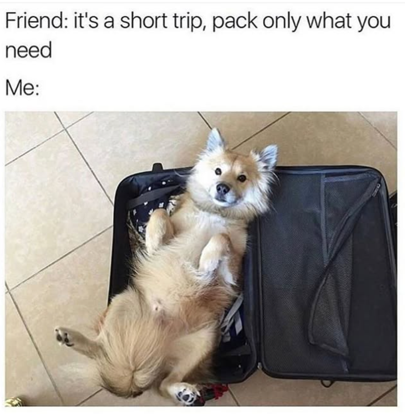 Friend: it's a short trip, pack only what you need Me: