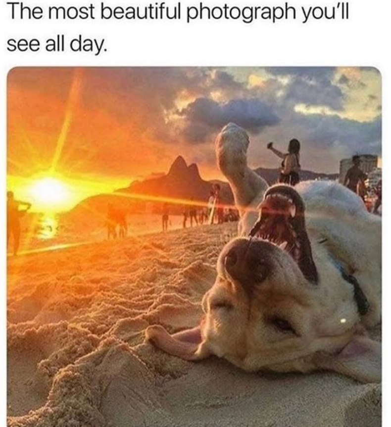 The most beautiful photograph you'll see all day.