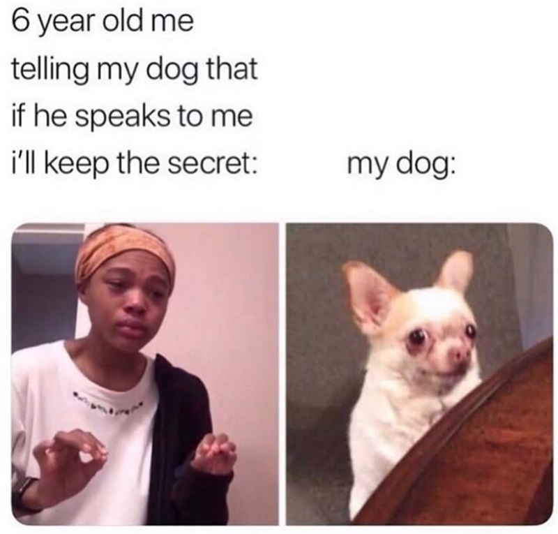 6 year old me telling my dog that if he speaks to me i'll keep the secret: my dog: