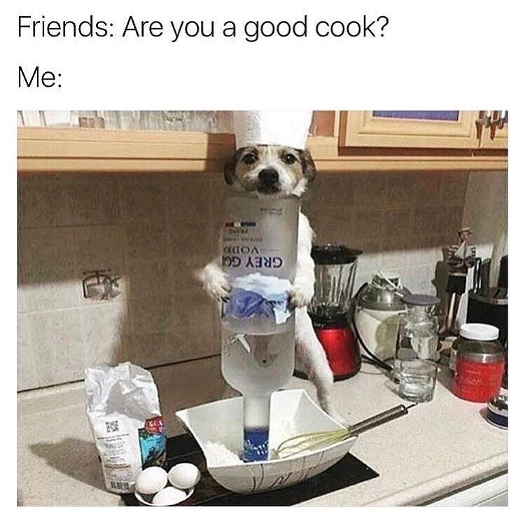 VODE GREY GO Friends: Are you a good cook? Me: