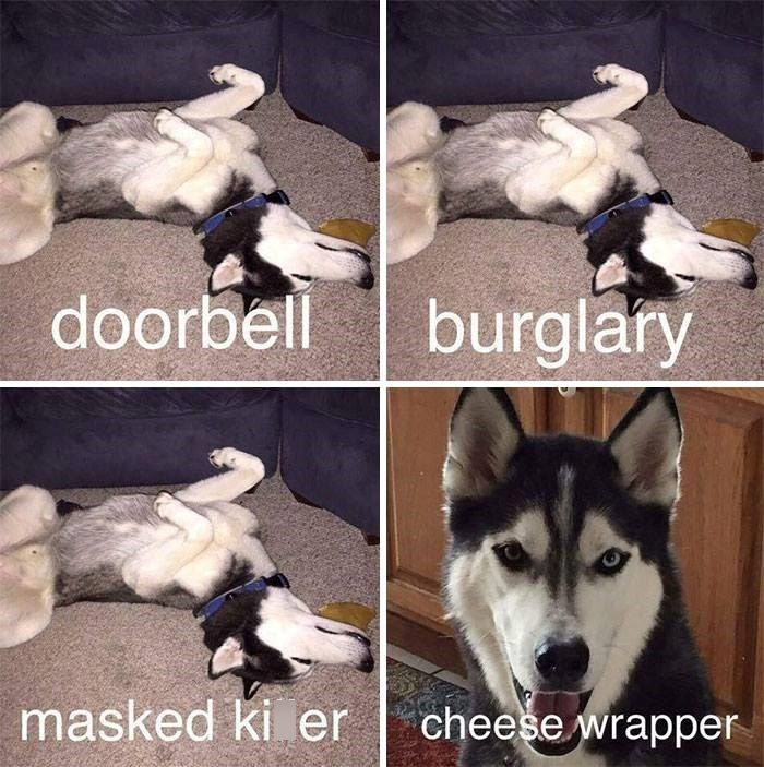 doorbell burglary masked ki er cheese wrapper