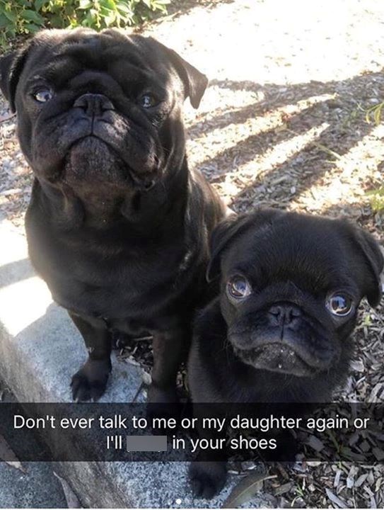 Don't ever talk to me or my daughter again or וויד in your shoes