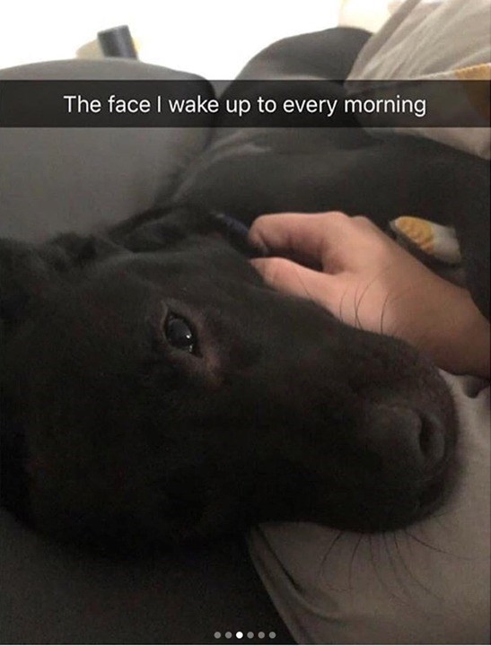 The face I wake up to every morning