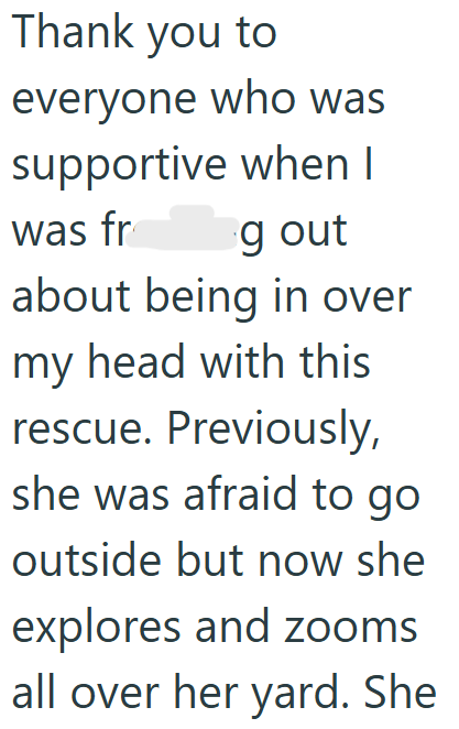 Thank you to everyone who was supportive when I was fr g out about being in over my head with this rescue. Previously, she was afraid to go outside but now she explores and zooms all over her yard. She