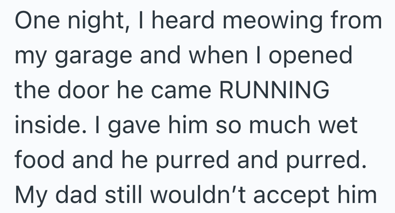 One night, I heard meowing from my garage and when I opened the door he came RUNNING inside. I gave him so much wet food and he purred and purred. My dad still wouldn't accept him