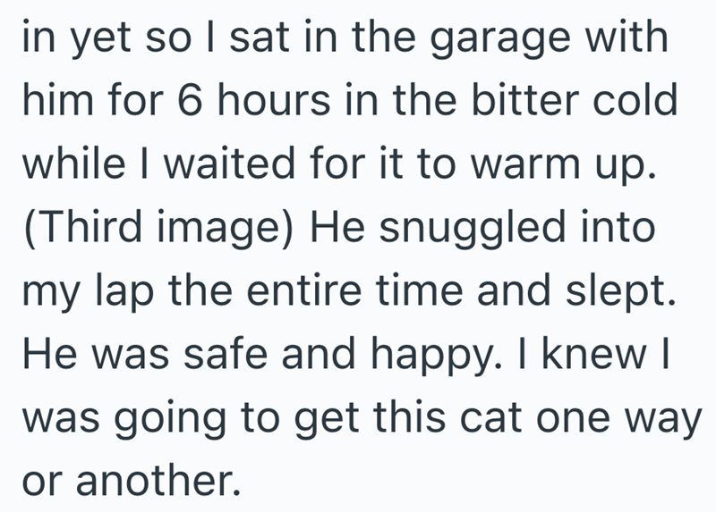 in yet so I sat in the garage with him for 6 hours in the bitter cold while I waited for it to warm up. (Third image) He snuggled into my lap the entire time and slept. He was safe and happy. I knew I was going to get this cat one way or another.