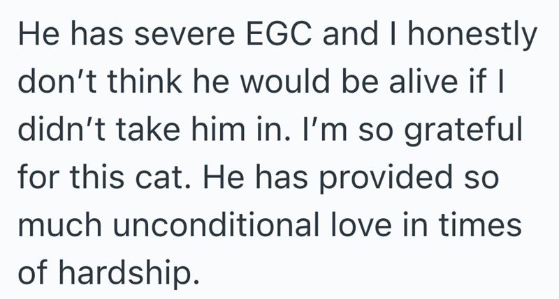 He has severe EGC and I honestly don't think he would be alive if I didn't take him in. I'm so grateful for this cat. He has provided so much unconditional love in times of hardship.