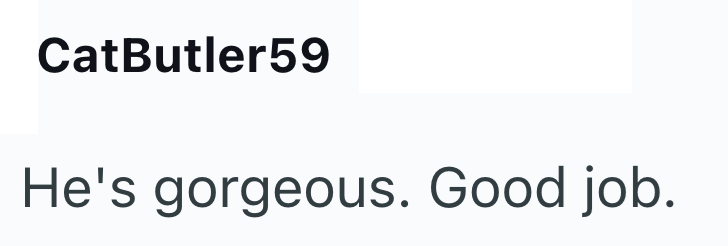 CatButler59 He's gorgeous. Good job.