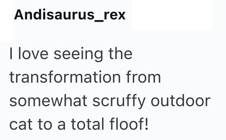 Andisaurus rex I love seeing the transformation from somewhat scruffy outdoor cat to a total floof!