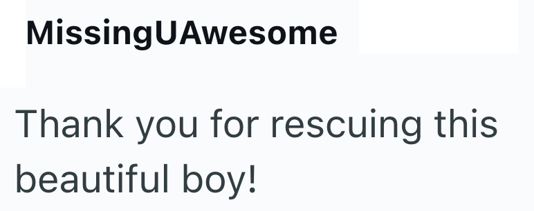 MissingUAwesome Thank you for rescuing this beautiful boy!