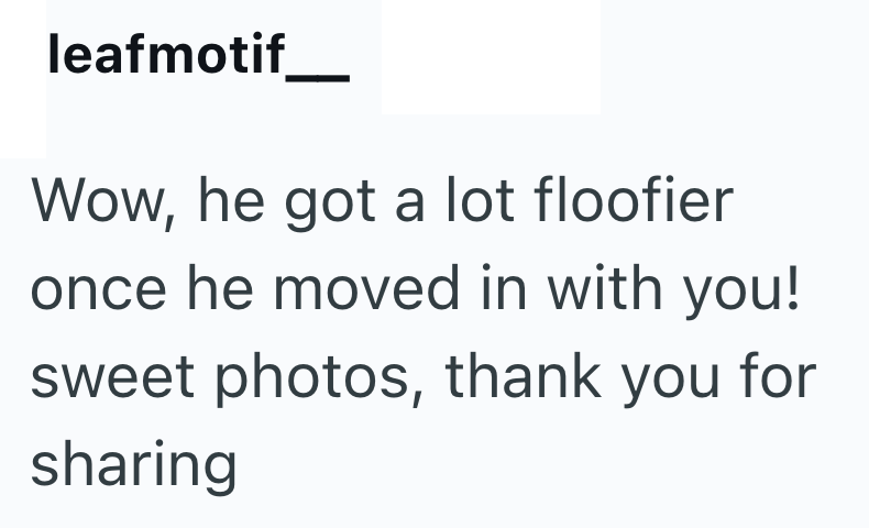 leafmotif Wow, he got a lot floofier once he moved in with you! sweet photos, thank you for sharing