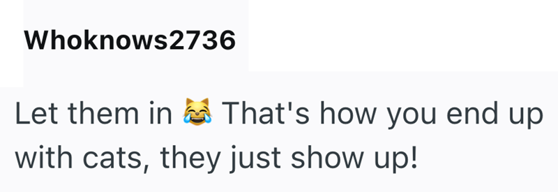 Whoknows2736 Let them in That's how you end up with cats, they just show up!