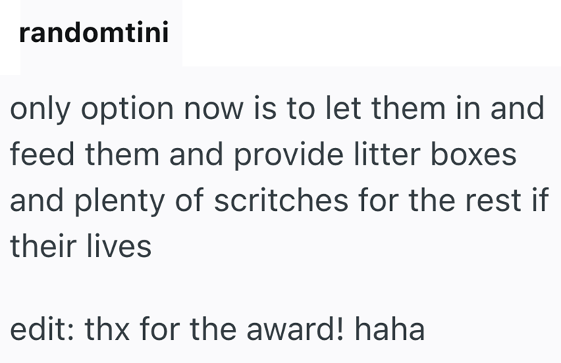 randomtini only option now is to let them in and feed them and provide litter boxes and plenty of scritches for the rest if their lives edit: thx for the award! haha